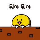 서면어린이집 이미지