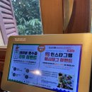 하노이안