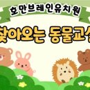 호만브레인유치원 이미지