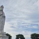 다인 행정사사무소 이미지