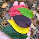 행복한 동행 이미지