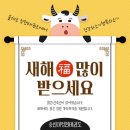 용인대정현태권도장 이미지