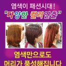 큐사랑헤어염색 이미지
