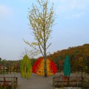 자연의 향기 이미지