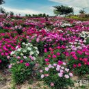 삼성현역사문화공원 이미지