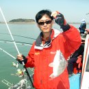 수정-60 이미지