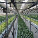 건태농장 이미지