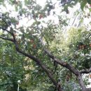 동양주공1,2단지 이미지