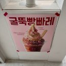 벚꽃 공중화장실 | 서울 벚꽃 명소 우이천 2026년 실시간 개화 현황, 주차, 벚꽃 명당 카페 우이사계 후기