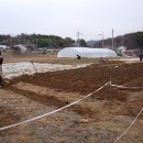 철주농장 이미지