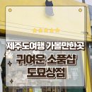 제주도여행 가볼만한곳 동문시장 근처 귀여운 고양이 소품샵 도묘상점