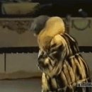 내사랑멍멍이