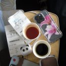 펫제제(PET JEJE) | [제주 day1-1] 아시아나 비즈니스 강아지 동반 후기 | 마일리지 사용 시 주의할 점