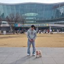 크루멍 | 2024서울펫쇼 일산 킨텍스 쇼핑 후기 (펫크루, 리토가토, 디저트댕, 베르게, 딩독, 멍포차)