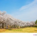 보문관광단지 이미지