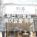 매트로펠리스Ⅱ-B 이미지