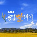 홈쇼핑 이미지