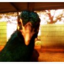 파랑새휴게소 이미지