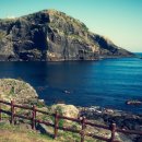 베스트투어 이미지