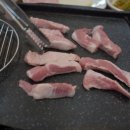 우주생고기 이미지