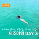 두리다방 | 여름 제주도 여행 셋째날: 모알보알 카페, 동문시장, 빽다방베이커리, 런던베이글, 우리두리