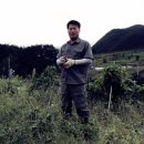 솔잎농장 이미지