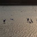 내저선착장 이미지