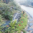 리솜리조트 회원권 분양받고 다녀온 후기 이미지