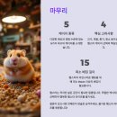 🐹 2025 햄스터 케이지 추천 TOP5｜초보자용부터 전문가용까지 비교 정리
