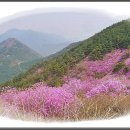 진두강슈퍼 네이버블로그