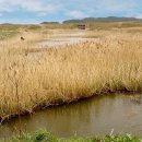 솔마루황토펜션 이미지