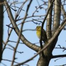 장머리방 이미지