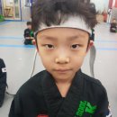 합기도(BK)본부도장 이미지