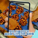 집중력 향상 바둑교실 | 무안 가볼만한 곳 엘마르 시크릿가든 농바름, 딸기모찌 오란다 만들기 아이랑 체험 강추 후기