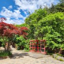 ㈜명상여행사 이미지