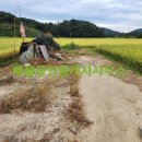 두원면사무소 이미지