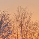 경동대 가는길 이미지