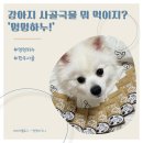 하루멍멍 | [멍멍하누] 강아지 사골 국물 뭐 먹이지? 멍멍하누 한우 사골 솔직 후기