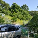 어은농장 이미지