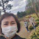 김홍일농장 | 구미호 예산 여행