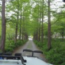 힐링엔젤스 이미지