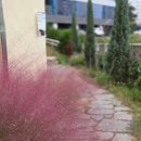 청년예술창작소 | 감성과 창작이 머무는 곳 일산문화예술창작소 소하 이소진 展 ‘담담히 스미다’ 관람 후기