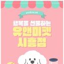 즐거운환경 | 배곧먼치킨분양 후기 – 짧둥이 강아지와 함께한 즐거운 첫 만남