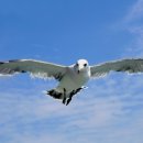 서광초등학교 이미지