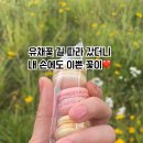 네일꽃피다 - 창원시 의창구 중동중앙로 79 | 네일꽃피다