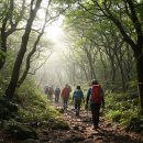 제주도 단체여행사 추천! 워크숍·수학여행 전문가 리얼플랜제주와 함께하는 이유