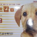 원주동물약국 이미지