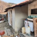 무릉도원면-3 이미지