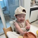6개월 아기 첫 이유식 맘마찬 동대문점 이용 후기