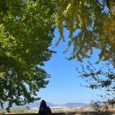 (주)은행나무 이미지